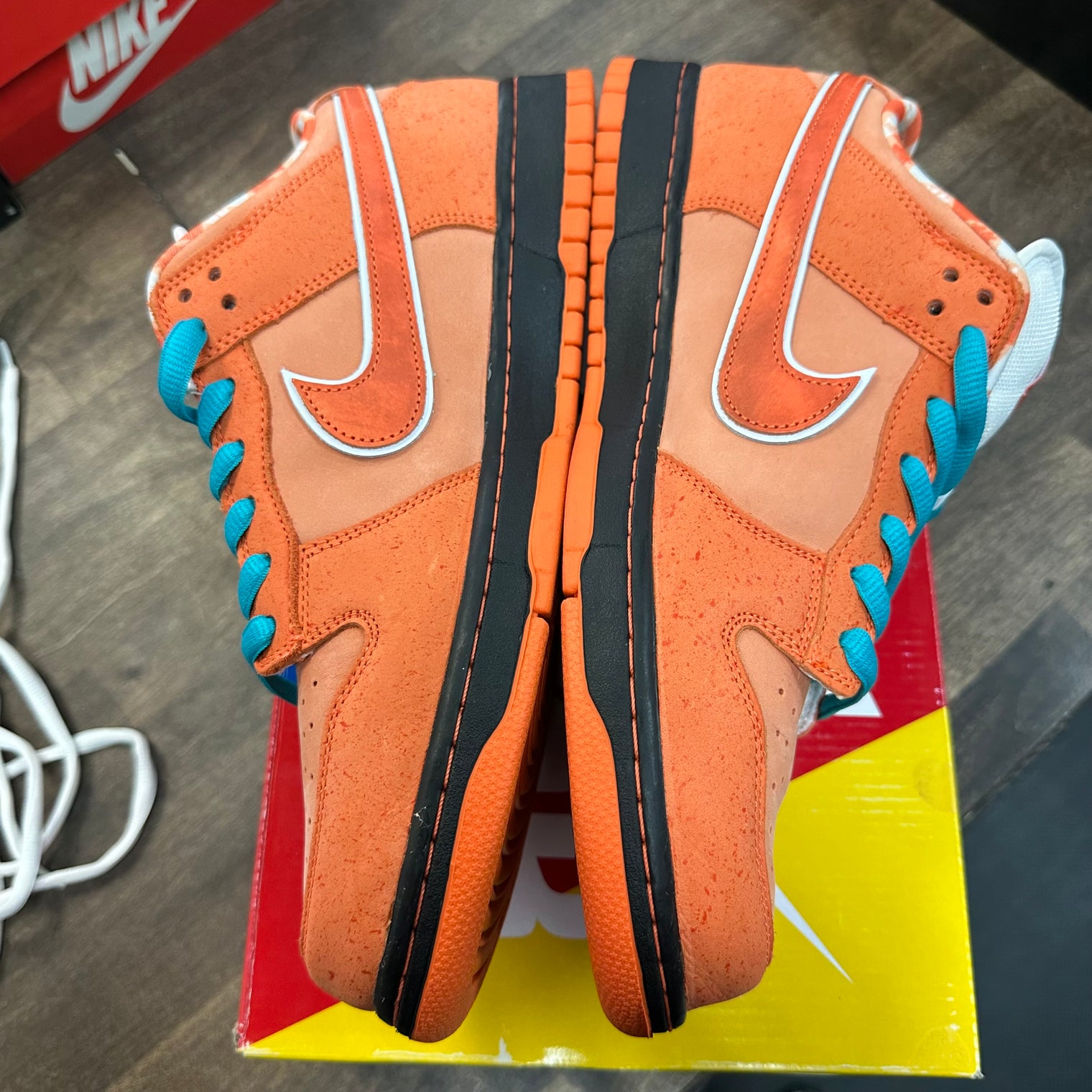 Orange Lobster SB Dunk Low (USED)