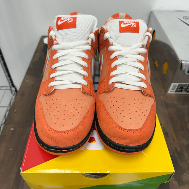 Orange Lobster SB Dunk Low (USED)