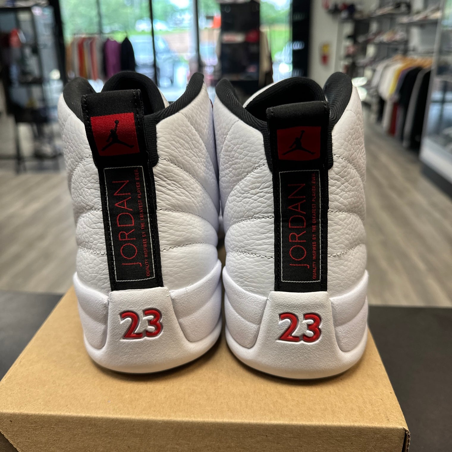 Twist Jordan 12 (USED, No Box)