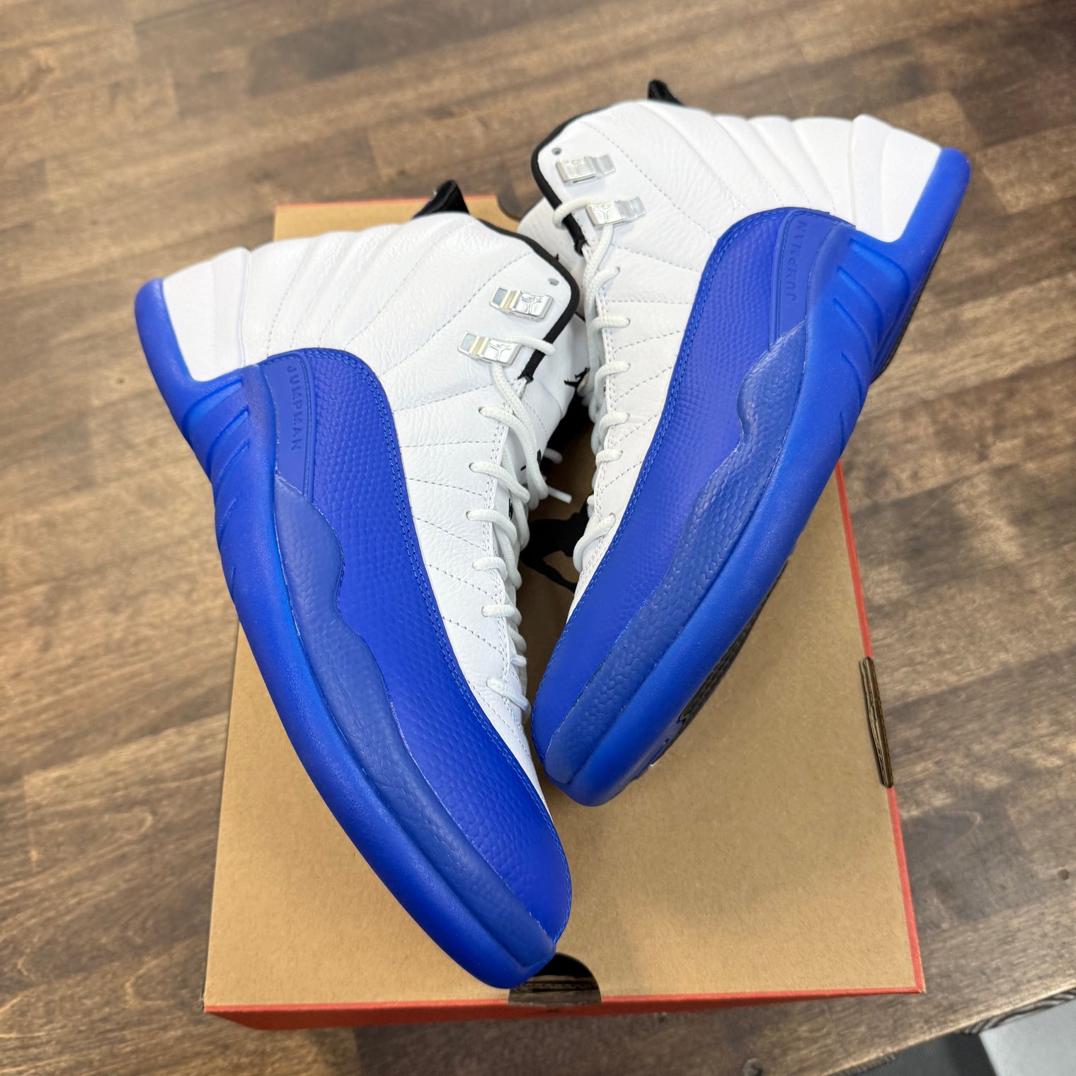 Blueberry Jordan 12 (USED)