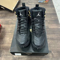 Master Jordan 12 (GS) (USED)