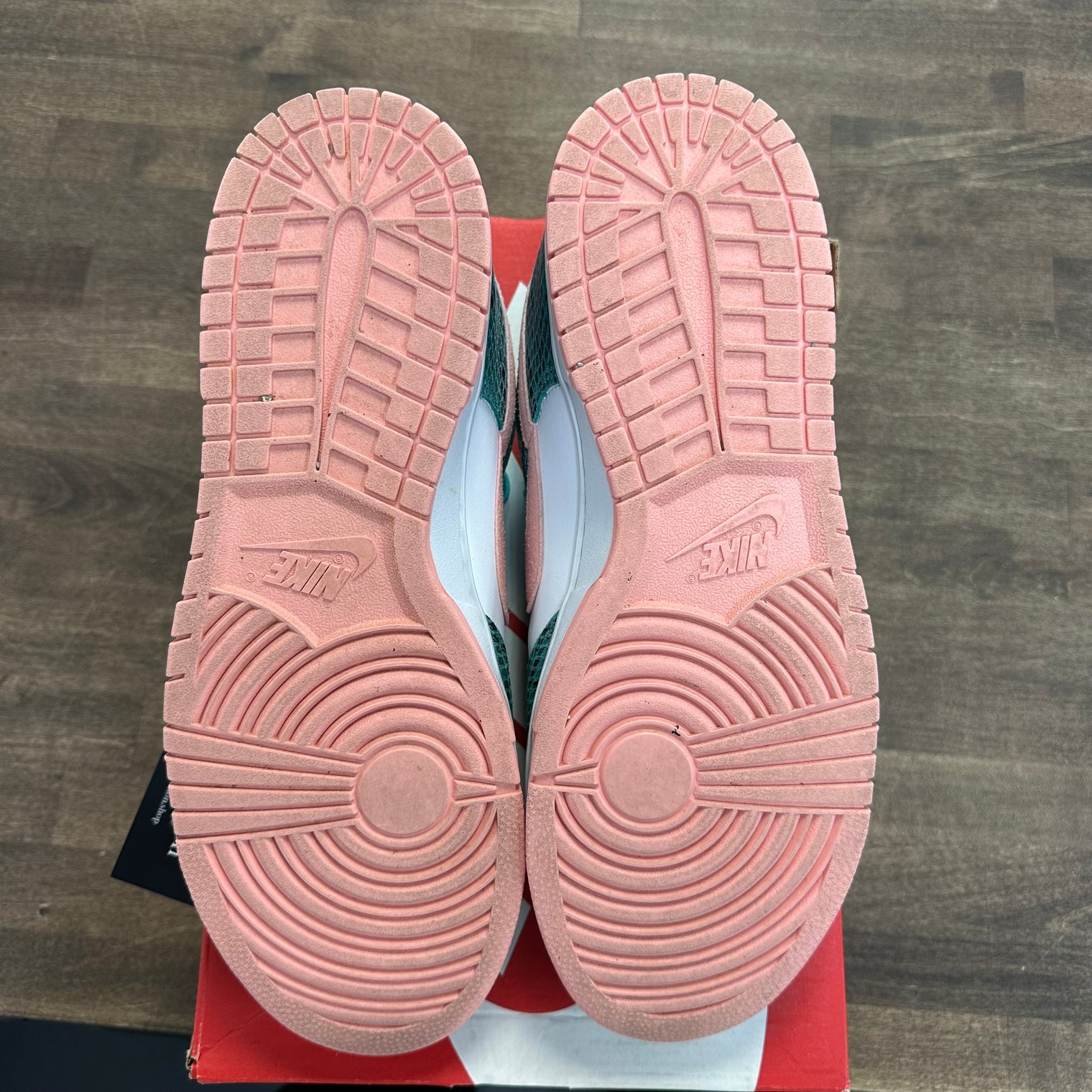 Snakeskin Washed Teal Bleached Coral Nike Dunk Low (USED)