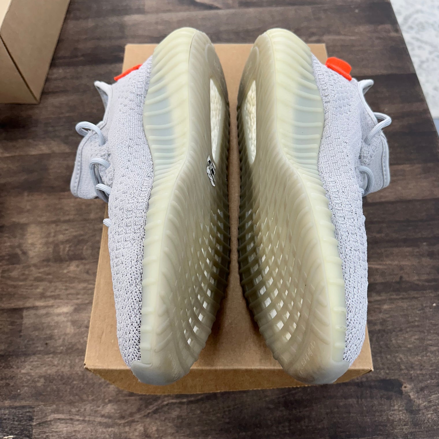 Tail Light Yeezy 350 (USED, No Box)