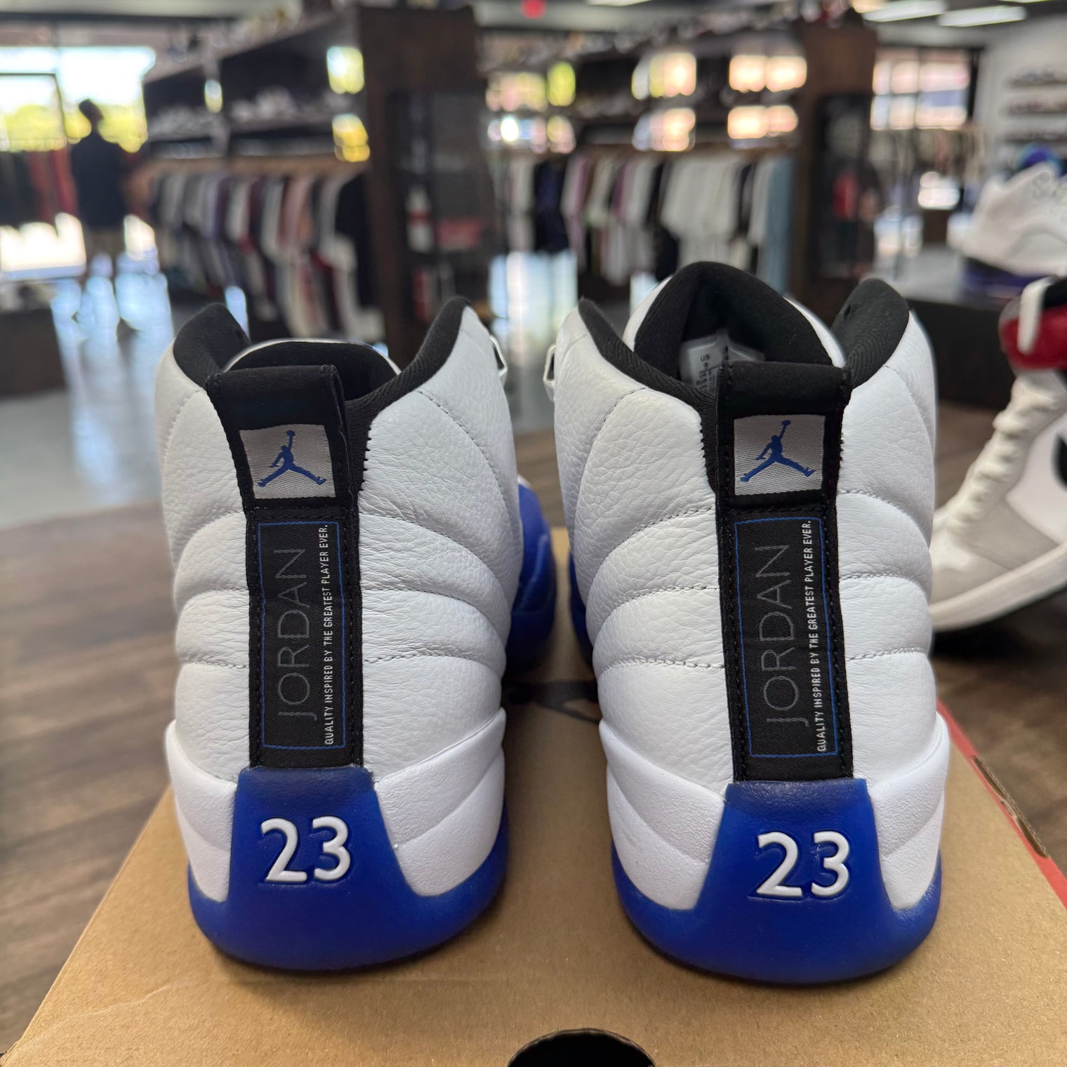 Blueberry Jordan 12 (USED)
