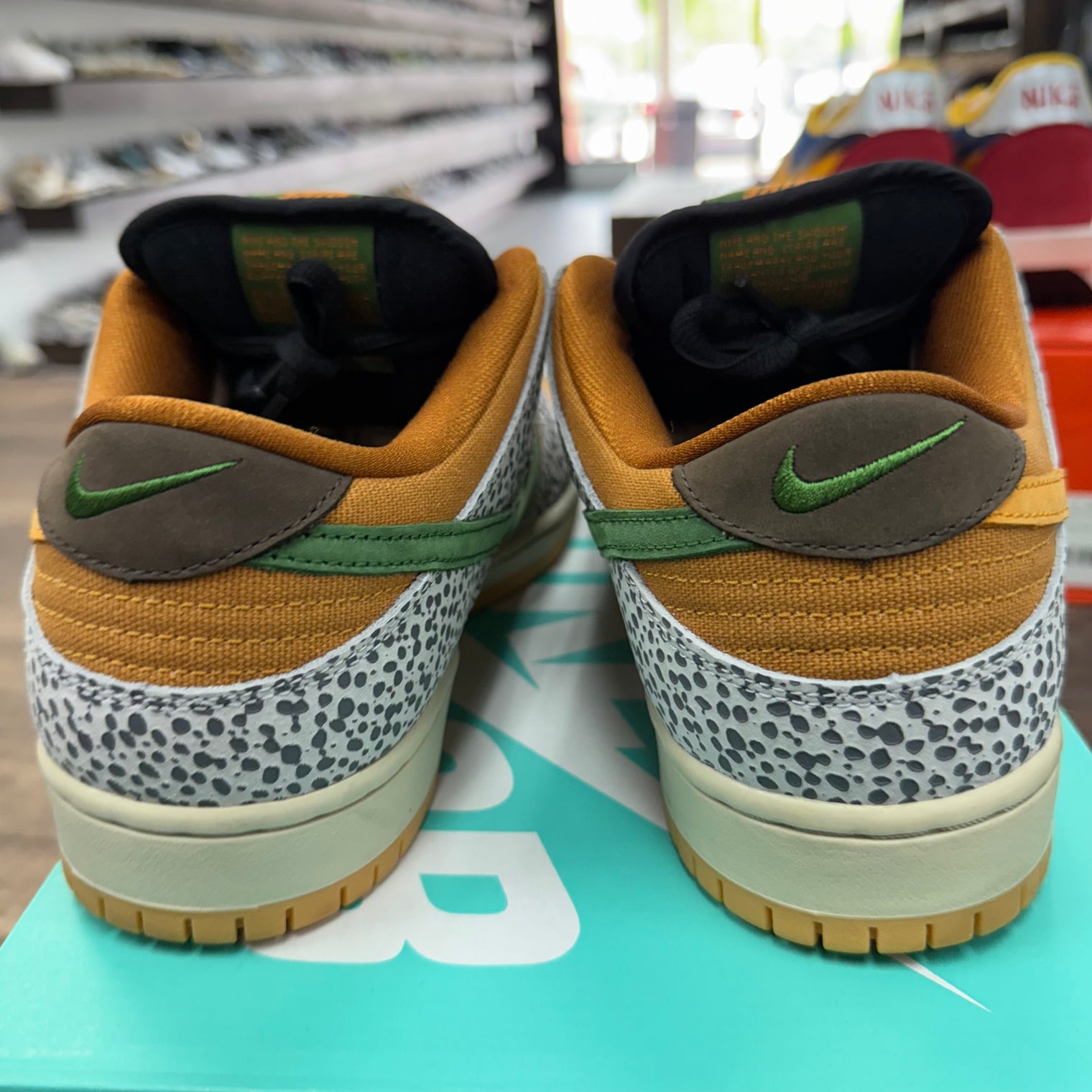 Safari SB Dunk Low (USED)