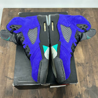 Alternate Grape Jordan 6 (USED)