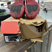 Flu Game Jordan 12 (USED)
