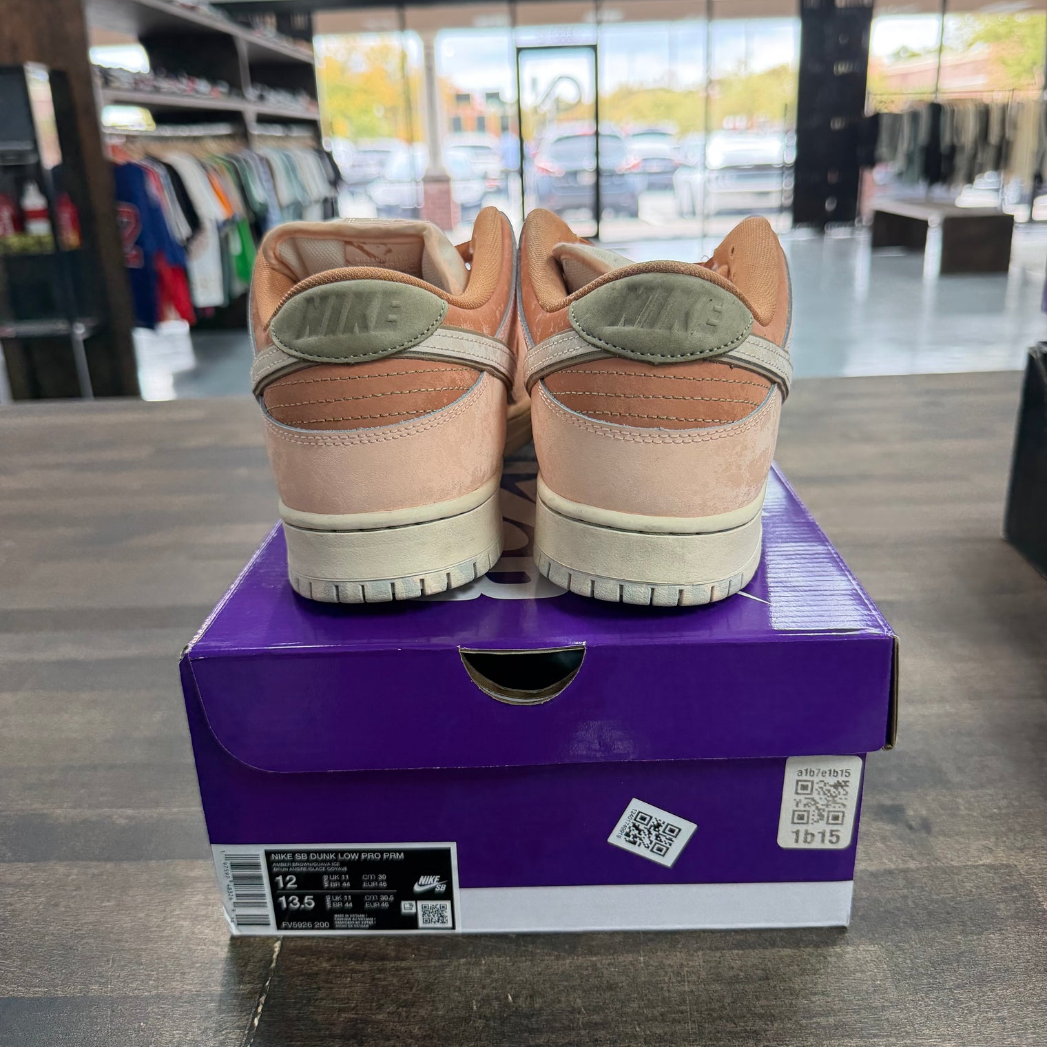 Trocadero Gardens Nike SB Dunk Low (USED)