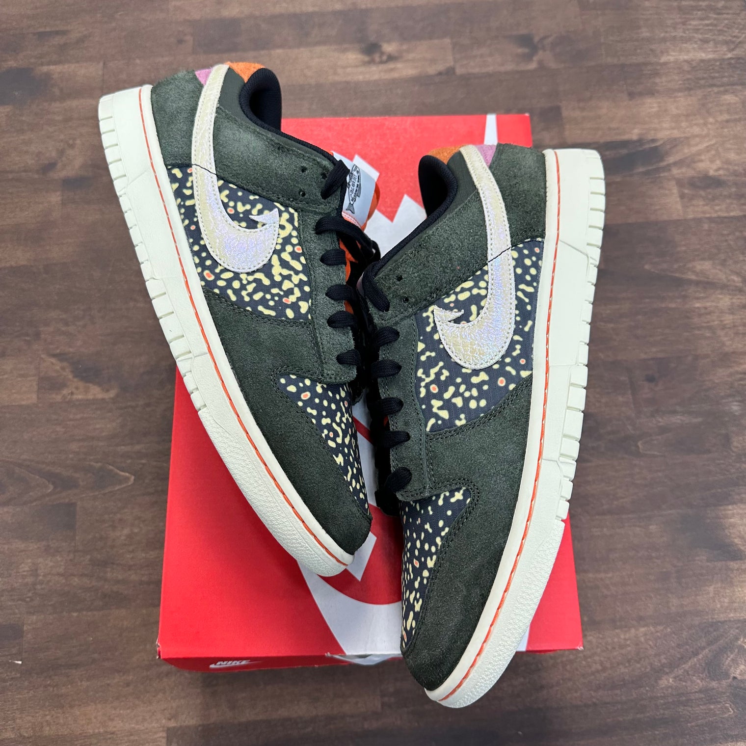 Gone Fishing Rainbow Trout Nike Dunk Low (USED)