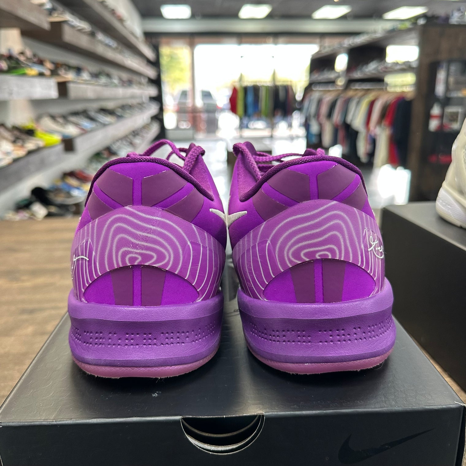 EYBL Kobe 8 Protro (USED)