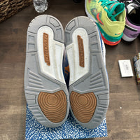 Wizards Jordan 3 Retro (USED)