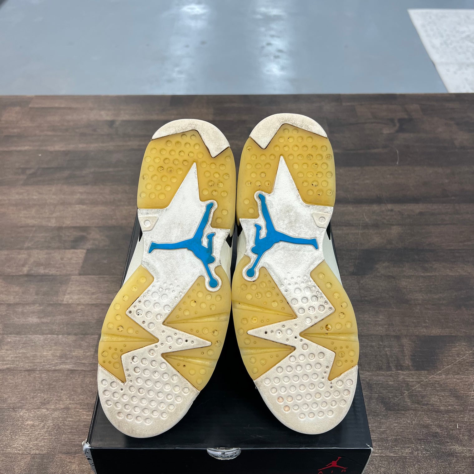 Chrome Tech Jordan 6 (W) (USED)