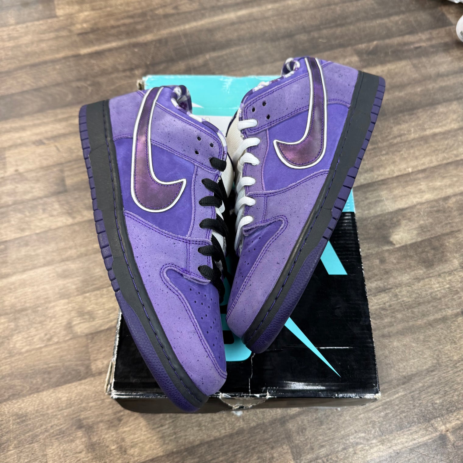 Concepts Purple Lobster Nike SB Dunk Low (USED)