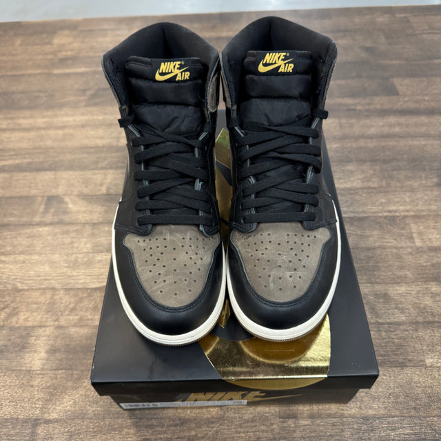 Palomino Jordan 1 High (USED)
