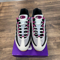 Cactus Flower Nike Air Max 95 SB (USED)