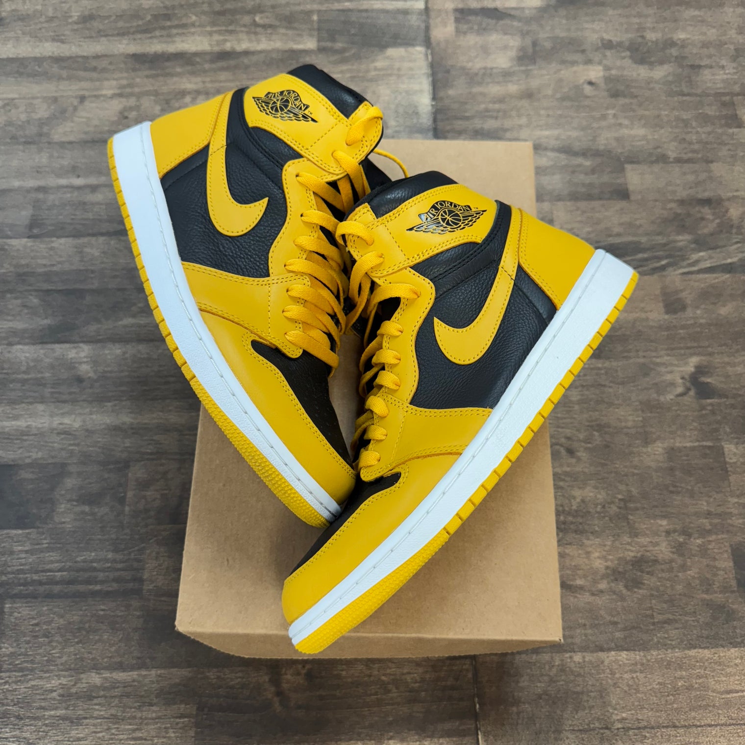 Pollen Jordan 1 High (USED, No Box)