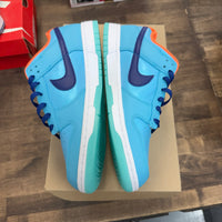 Baltic Blue Total Orange Nike Dunk Low (USED, No Box)