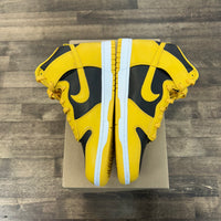 Wu Tang Dunk High (Lightly Worn, No Box)