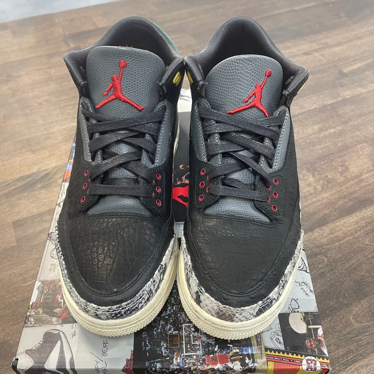 Animal Instinct Jordan 3 Retro SE (USED, no box)