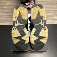Chrome Jordan 6 (USED)