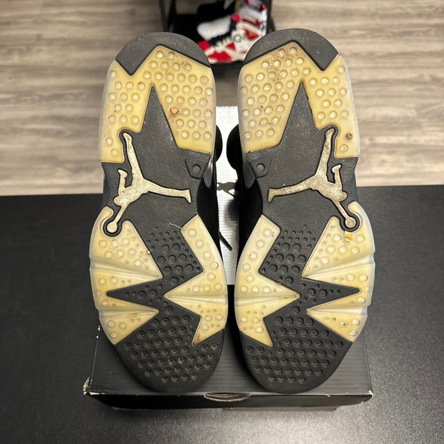 Chrome Jordan 6 (USED)