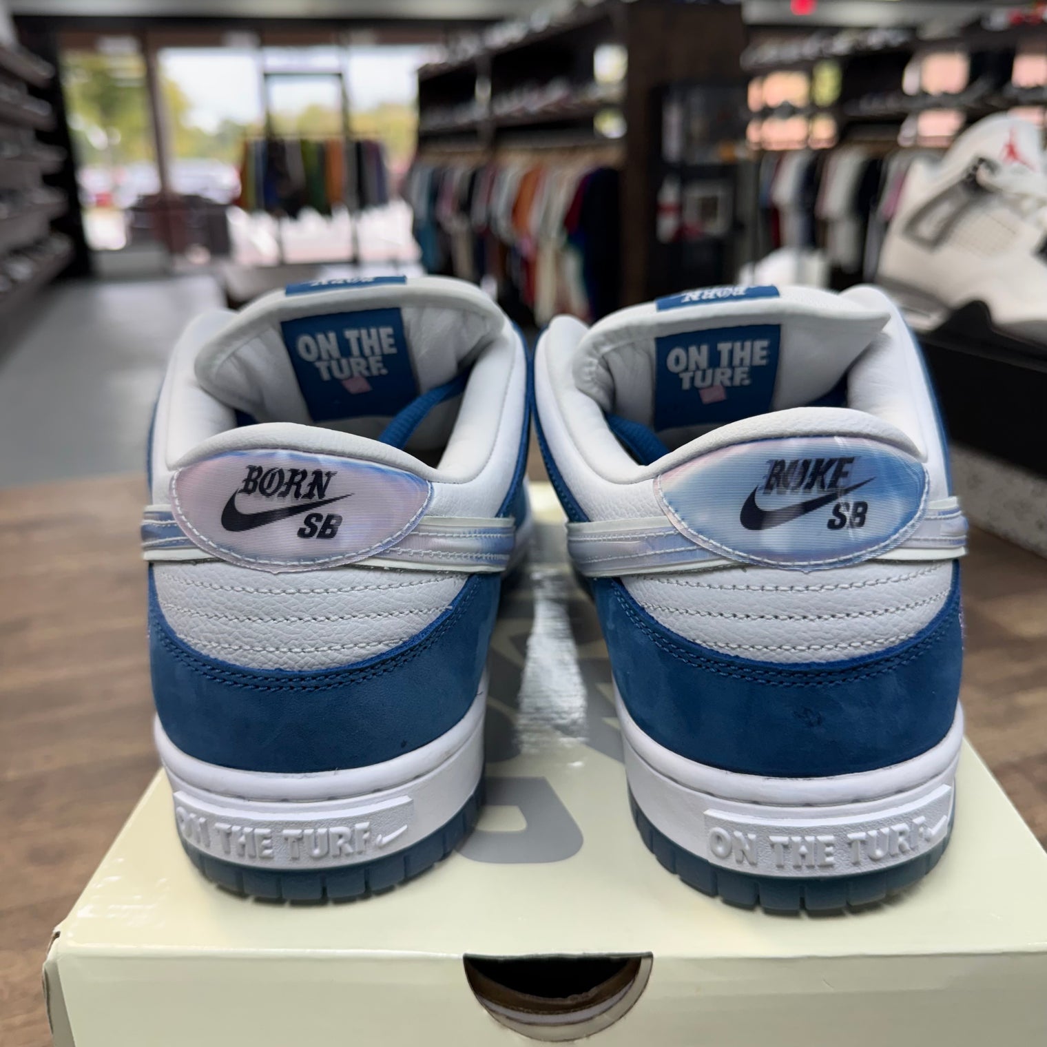 Born and Raised SB Dunk Low (USED)