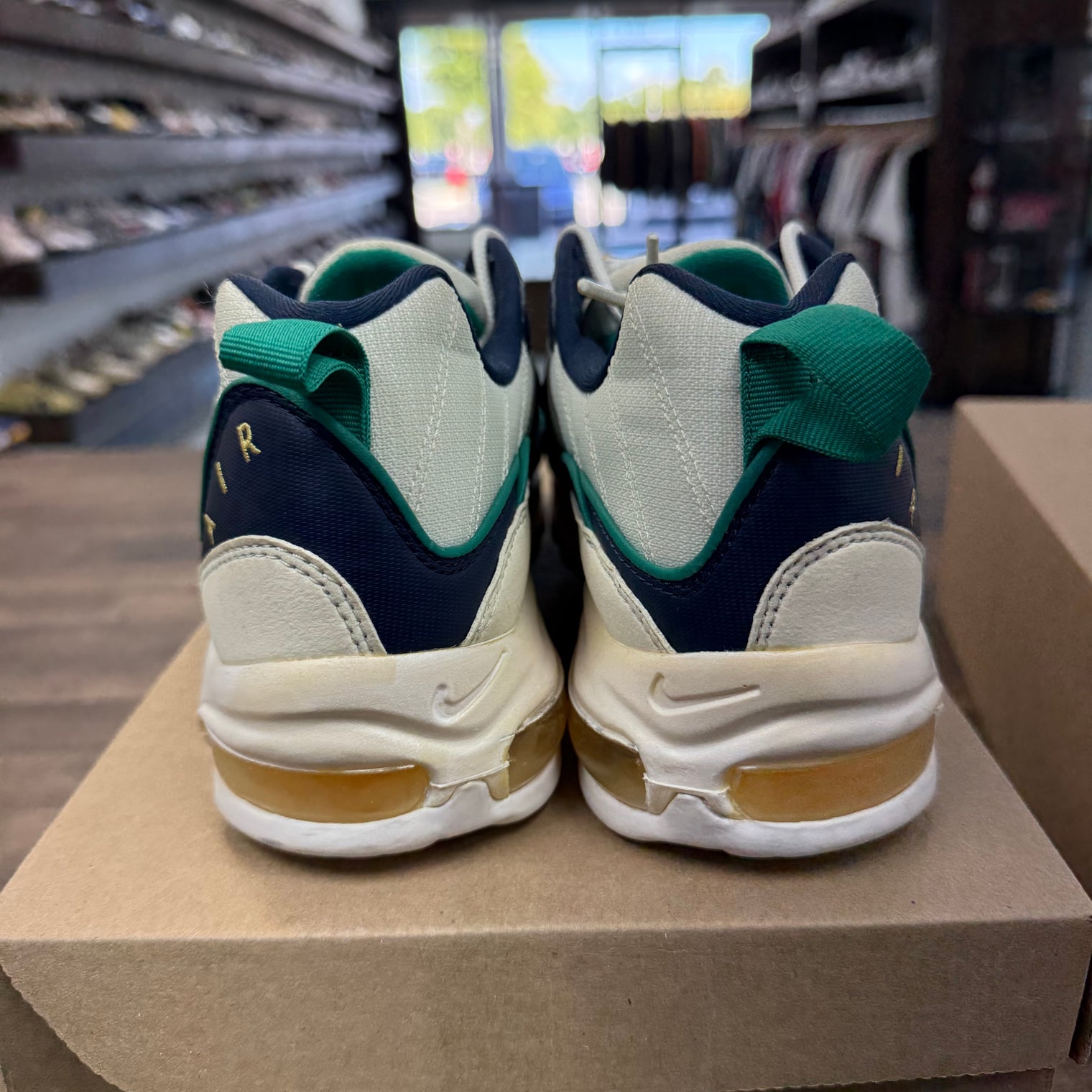 Mighty Ducks Air Max 98 Plus (USED,No Box)