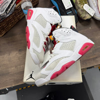 Hare Jordan 6 Retro (USED)