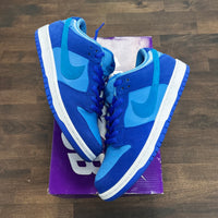 Blue Raspberry SB Dunk Low (USED)