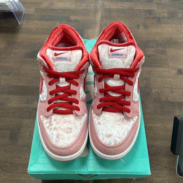 StrangeLove Skateboards SB Dunk Low (USED)
