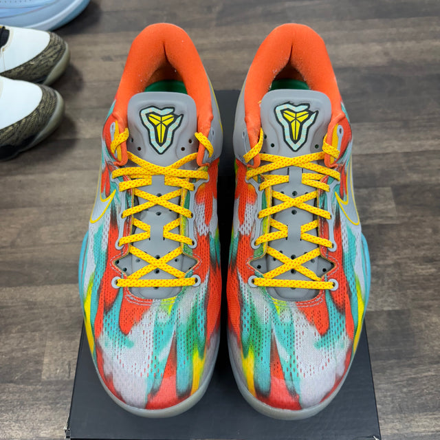 Venice Beach Kobe 8 Protro (USED)
