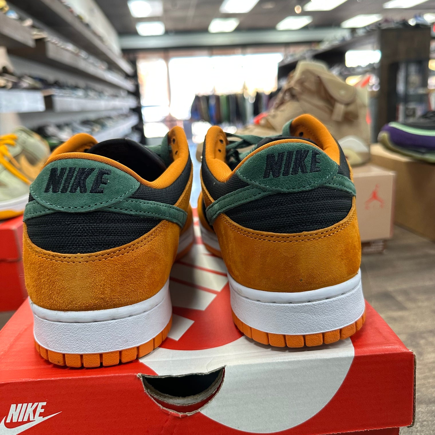 Ceramic Nike Dunk Low (USED)