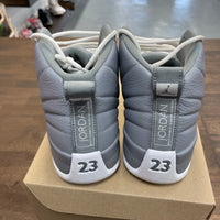 Stealth Jordan 12 (USED, No Box)