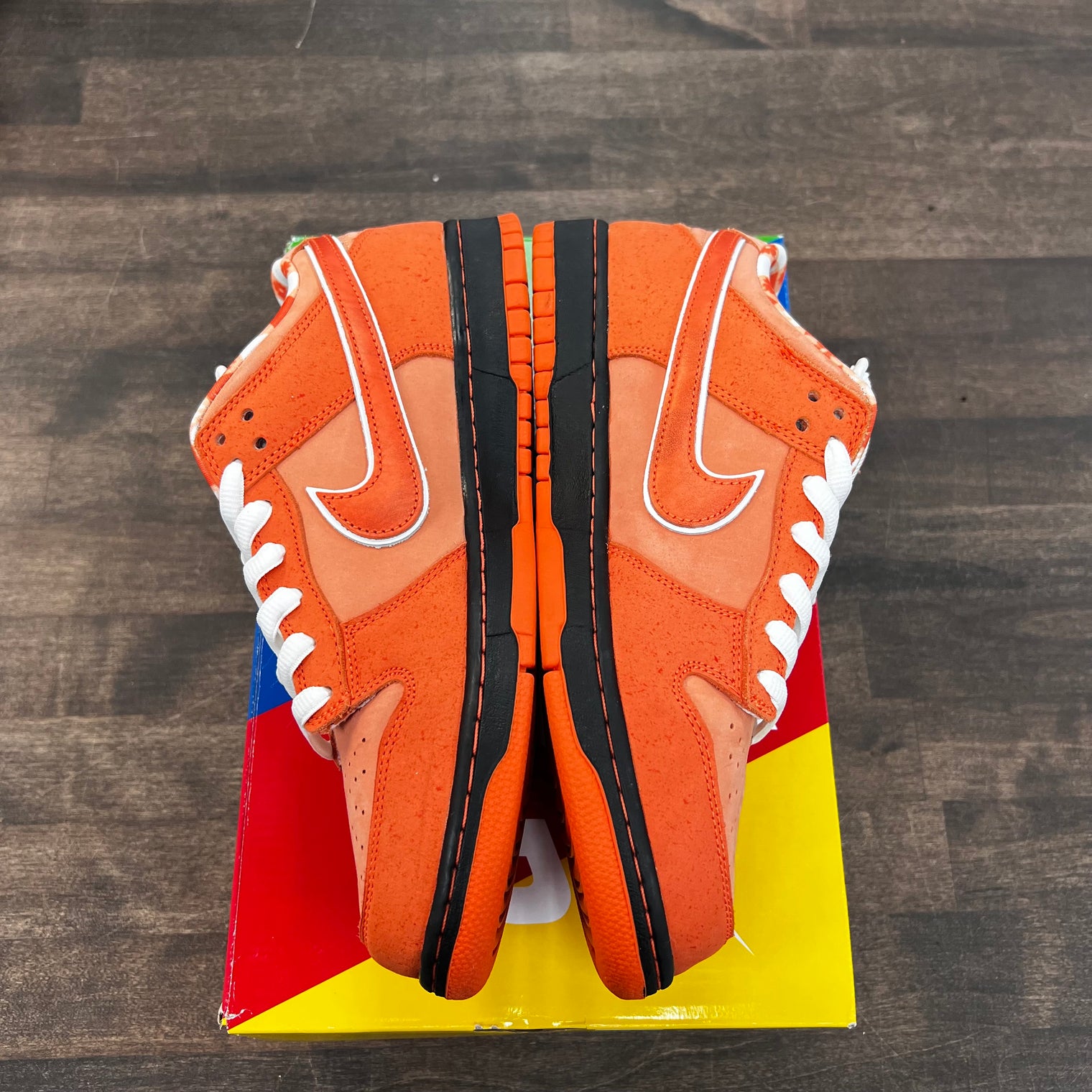 Orange Lobster Sb Dunk Low (USED)