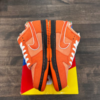 Orange Lobster Sb Dunk Low (USED)