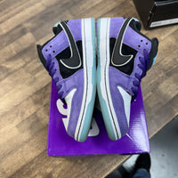 Hayley Wilson Nike SB Dunk Low (USED)