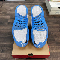 Melo Jordan 12 (Lightly Worn)