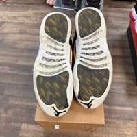 Wings Jordan 12 Retro (USED, No Box)