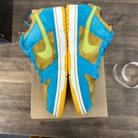 Baby Bear Nike SB Dunk Low (USED, No Box)