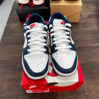 Valerian Nike Dunk Low (USED)