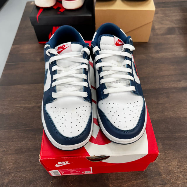 Valerian Nike Dunk Low (USED)
