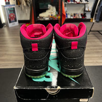 Premier Northern Lights Nike SB Dunk High (USED)