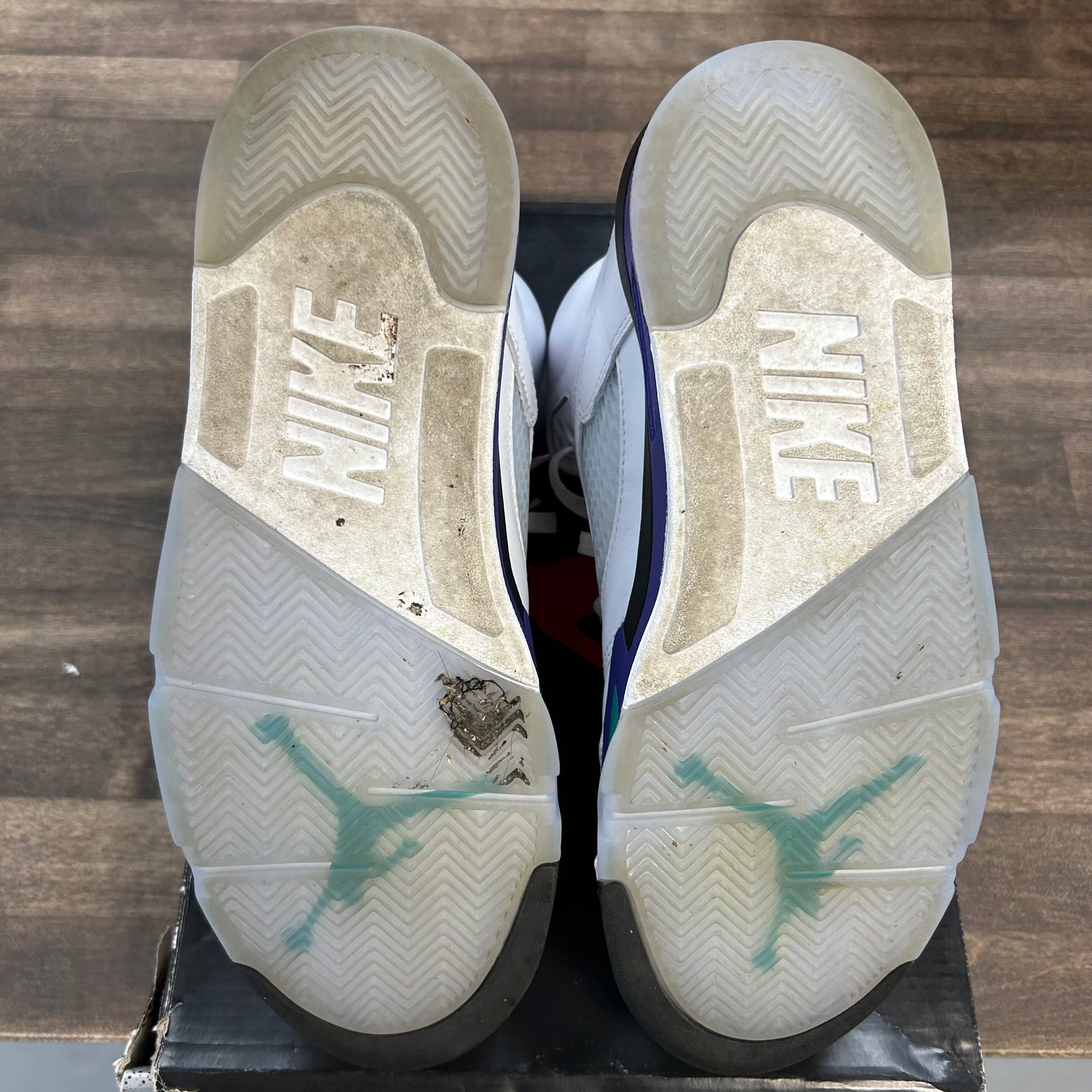 Grape Jordan 5 Retro (USED)