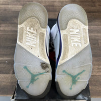 Grape Jordan 5 Retro (USED)