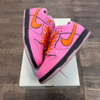 Powerpuff Girls Blossom SB Dunk Low (USED)