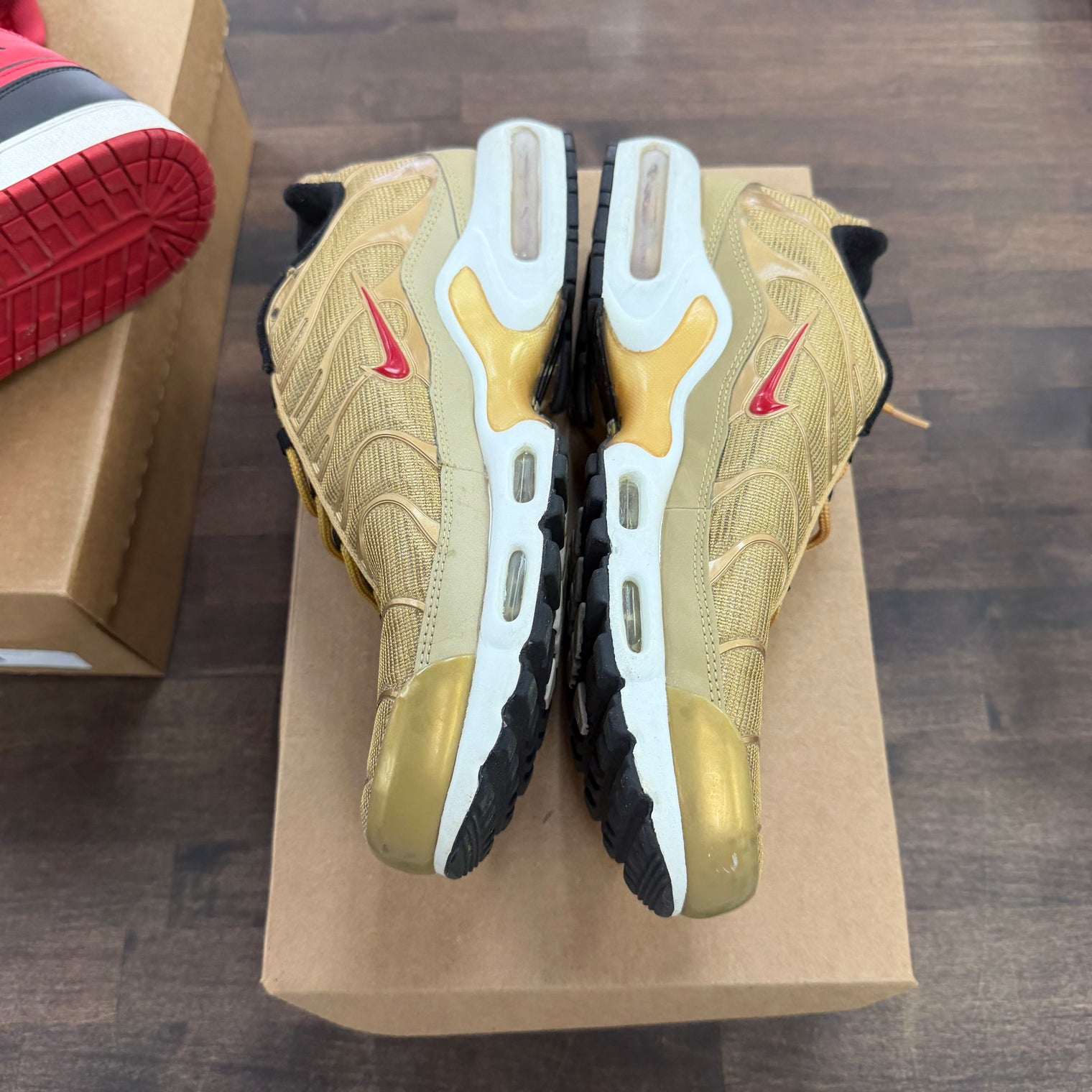 Metallic Gold Air Max Plus (USED, No Box)