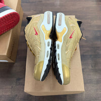 Metallic Gold Air Max Plus (USED, No Box)