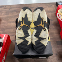 DMP Jordan 6 Retro (USED)