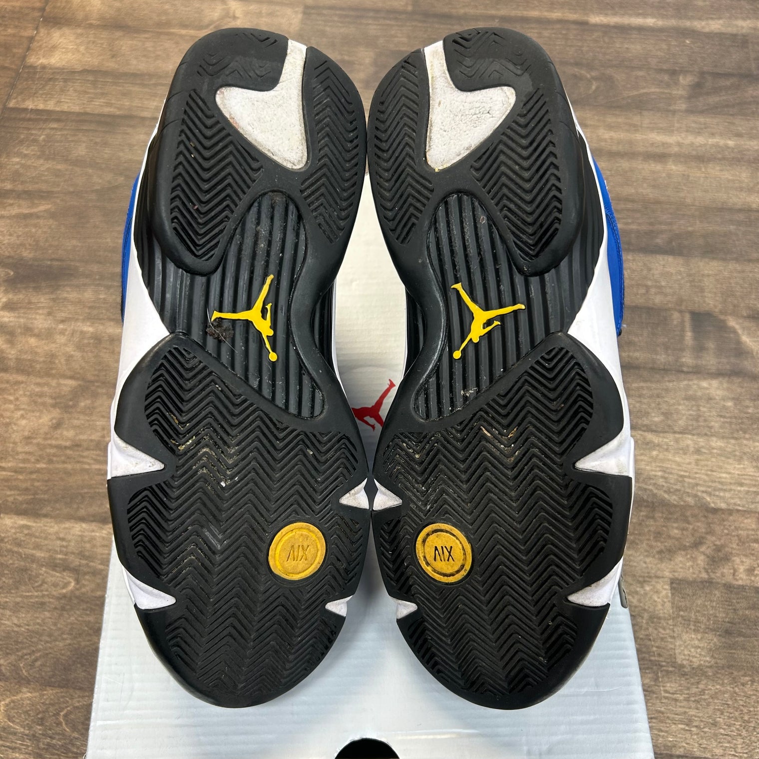 Laney Jordan 14 (2023) (USED)
