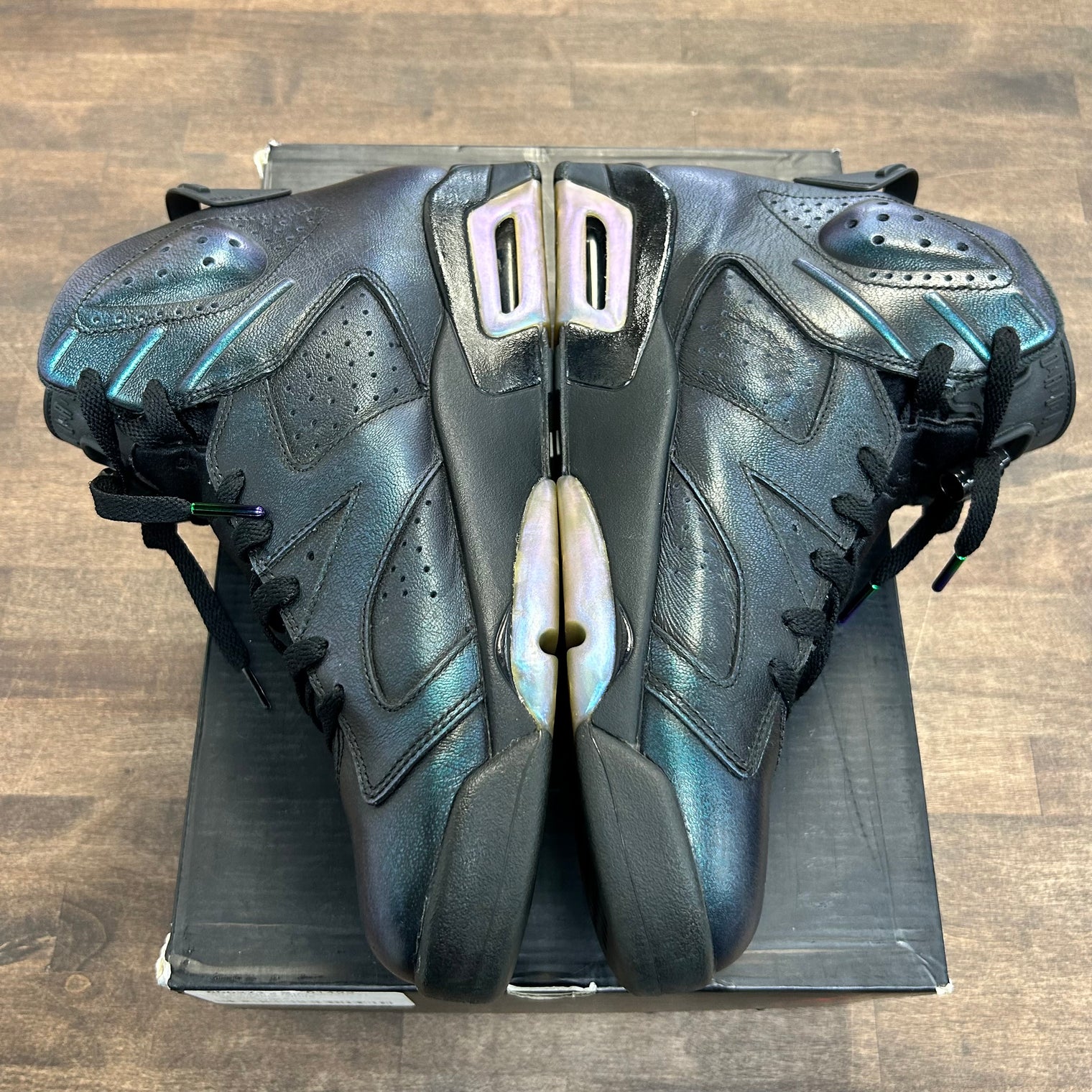 Chameleon Jordan 6 Retro (USED)
